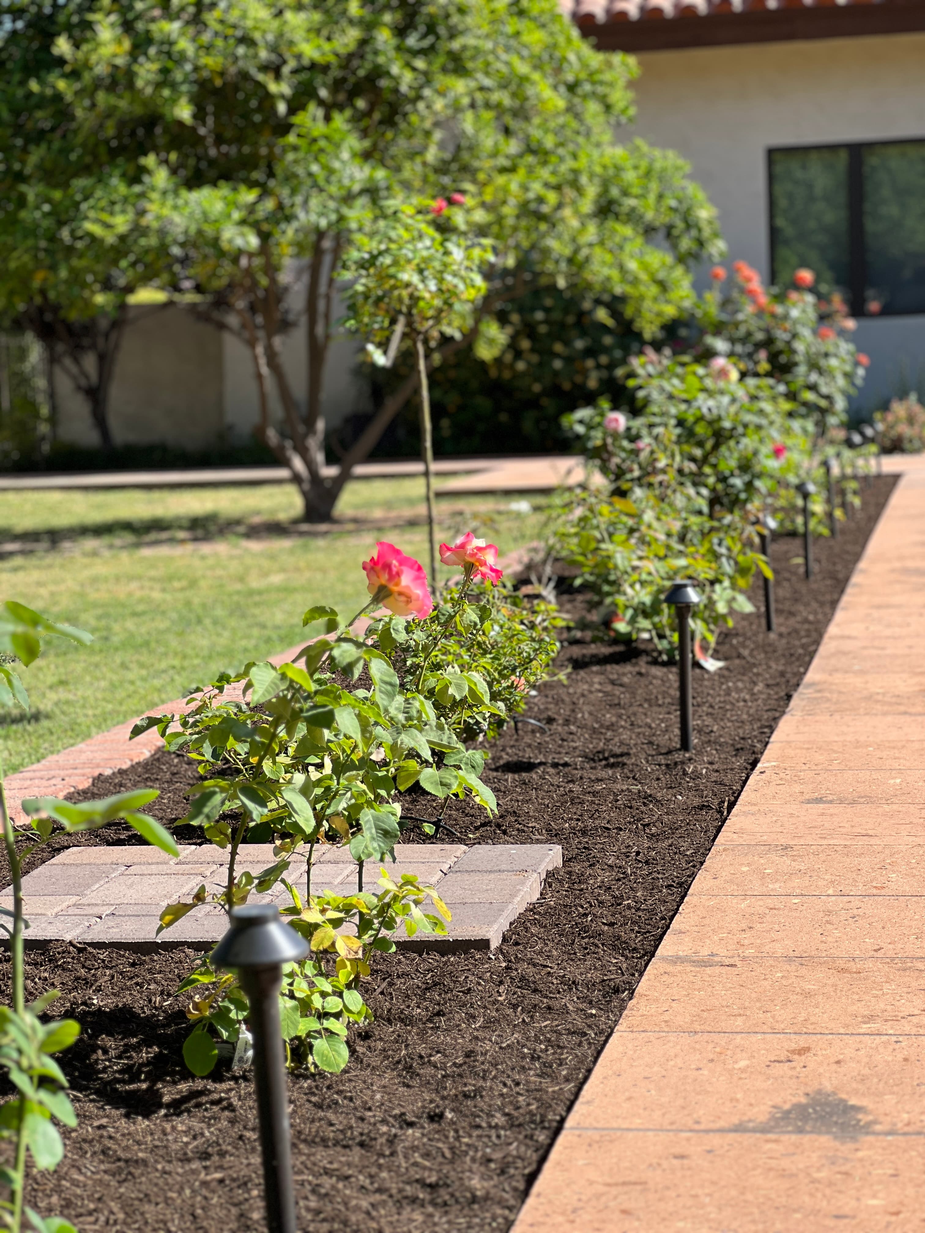 Professional Landscaping Services - Maintenance Phoenix AZ